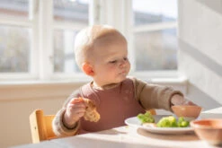 Bibs Overall Woodchuck Slab 4000247 10 Bibs Overall Woodchuck Slab 4000247 -Baby Producten Winkel Bibs Overall Woodchuck Slab 4000247 3