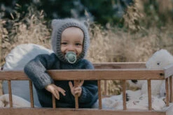 Bibs Try-it Sage 0-6 Mnd 4 Stuks Fopspenen 91343 -Baby Producten Winkel bibs de lux silicone fopspeen 2 3