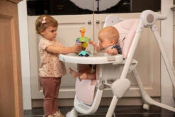 Bo Jungle B-Suction Toy Smart Owl Kinderstoel Speelgoed B910810 17 Bo Jungle B-Suction Toy Smart Owl Kinderstoel Speelgoed B910810 -Baby Producten Winkel bo jungle b suction toy smart owl kinderstoel speelgoed b910810 7