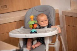 Bo Jungle B-Suction Toy Smart Owl Kinderstoel Speelgoed B910810 18 Bo Jungle B-Suction Toy Smart Owl Kinderstoel Speelgoed B910810 -Baby Producten Winkel bo jungle b suction toy smart owl kinderstoel speelgoed b910810 8