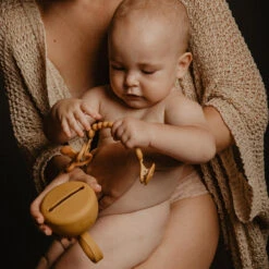 Suavinex Essence Mustard Silicone Speenhouder SXSEZ00081412 -Baby Producten Winkel colour essence soother case mango 3 3