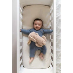 Doomoo Snoogy Biscuit Konijn Magnetronknuffel SY21 -Baby Producten Winkel doomoo snoogy biscuit konijn magnetronknuffel sy21 7