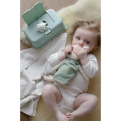 FunkyBox Mint Leave FB60 -Baby Producten Winkel funkybox mint leave fb60 .sfeer3