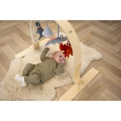 Tryco Houten Babygym TR-303011 -Baby Producten Winkel mamaloes tryco babygym 01 1