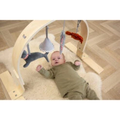 Tryco Houten Babygym TR-303011 -Baby Producten Winkel mamaloes tryco babygym 02 1