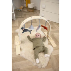 Tryco Houten Babygym TR-303011 -Baby Producten Winkel mamaloes tryco babygym 03 1