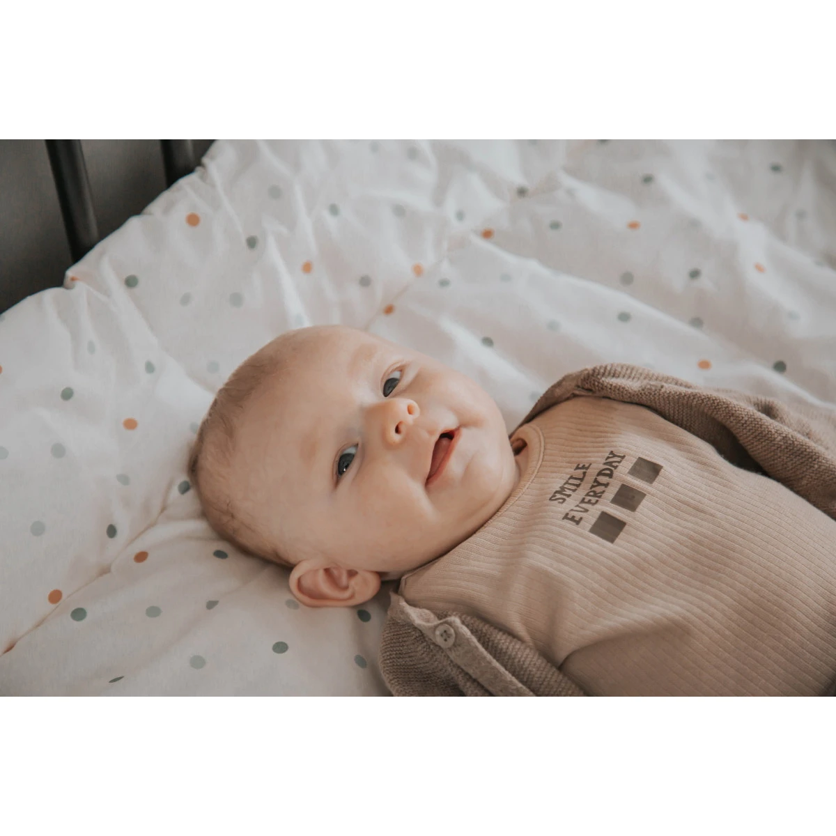 MamaLoes Berry Branch 80 X 100 Cm Omkeerbaar Boxkleed ML020228 13 MamaLoes Berry Branch 80 X 100 Cm Omkeerbaar Boxkleed ML020228 - Afbeelding 11