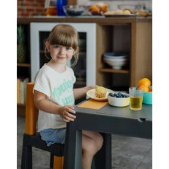 Tega Baby Teggi Graphite/Mustard Multifun Kinderstoeltje TI-023-172 -Baby Producten Winkel tega baby teggi graphite.mustard multifun 3 in 1 tafel 1 1