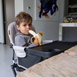 Topmark Lucky Donkergrijs Kinderstoel T6065.GREY06 17 Topmark Lucky Donkergrijs Kinderstoel T6065.GREY06 -Baby Producten Winkel topmark lucky kinderstoel4 3