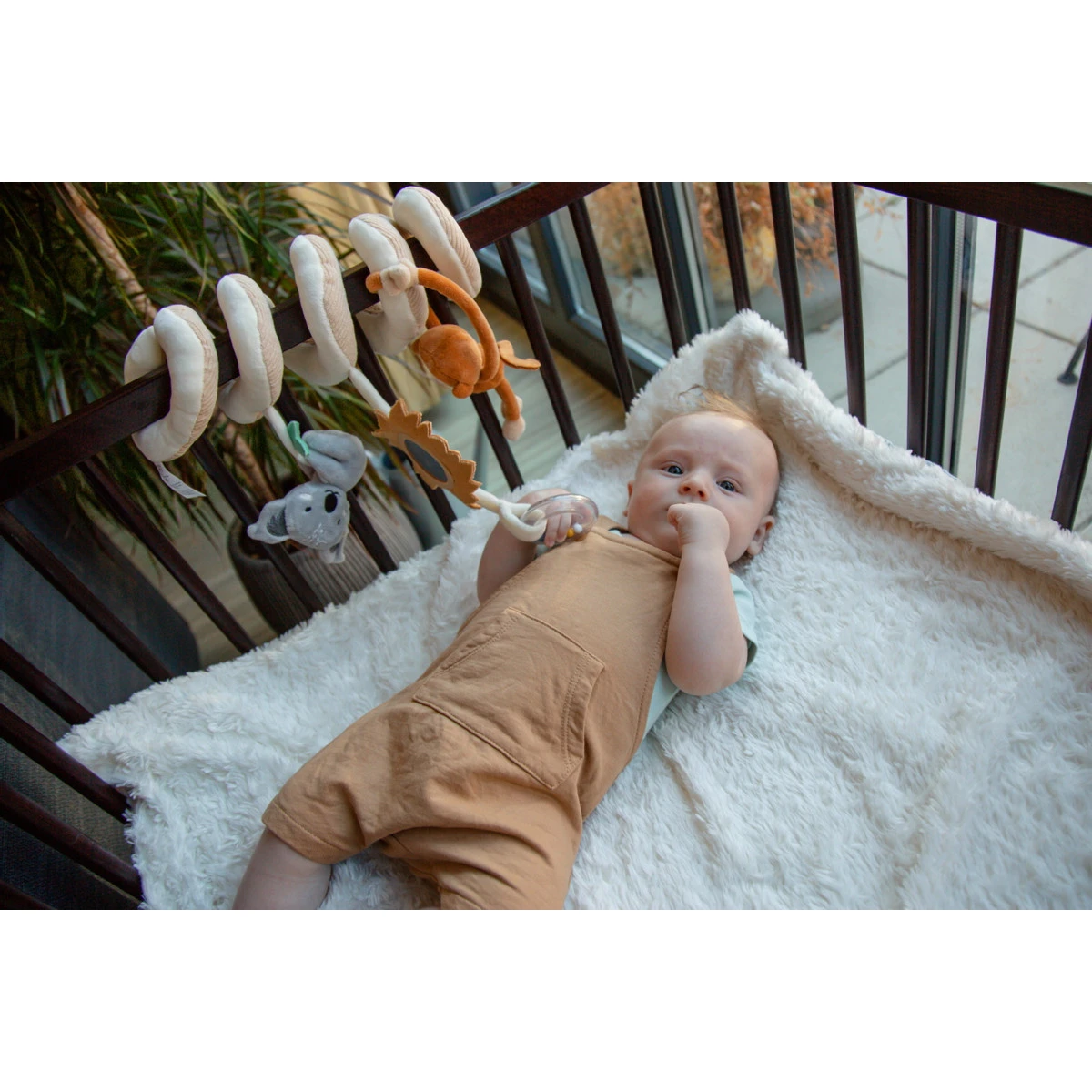 Tryco Jungle Boxspiraal TR-243305 7 Tryco Jungle Boxspiraal TR-243305 - Afbeelding 5