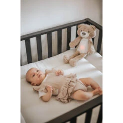 Zazu Brody De Beer Taupe Slaaptrainer ZA-BRODY-01 -Baby Producten Winkel zazu brody sfeer 3 2