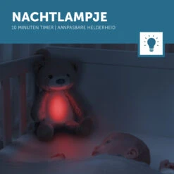 Zazu Brody De Beer Taupe Slaaptrainer ZA-BRODY-01 -Baby Producten Winkel zazu brody de beer taupe slaaptrainer sfeer 4