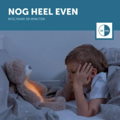 Zazu Brody De Beer Taupe Slaaptrainer ZA-BRODY-01 -Baby Producten Winkel zazu brody de beer taupe slaaptrainer sfeer 7