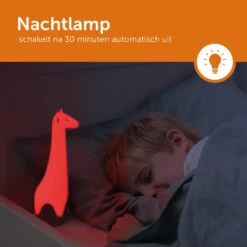 Zazu Gina Giraffe Grijs Zaklamp En Nachtlampje ZA-GINA-01 -Baby Producten Winkel zazu gina giraffe grijs zaklamp en nachtlampje za gina 01 1