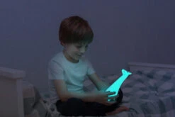 Zazu Gina Giraffe Grijs Zaklamp En Nachtlampje ZA-GINA-01 -Baby Producten Winkel zazu gina giraffe zaklamp en nachtlampje za gina 2 2